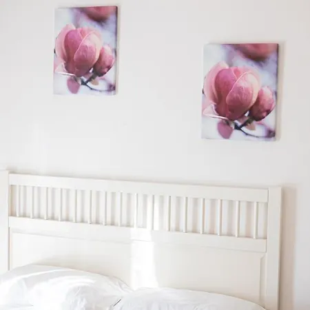 尼禄甘贝罗旅馆 招待所