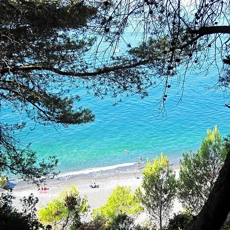 Gambero Nero Tellaro