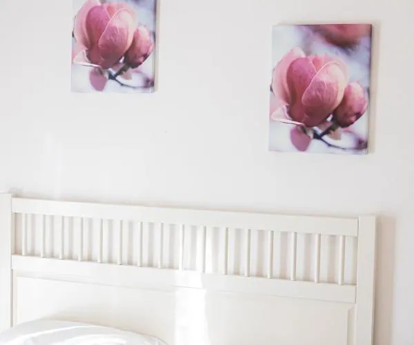 Gambero Nero Πανσιόν